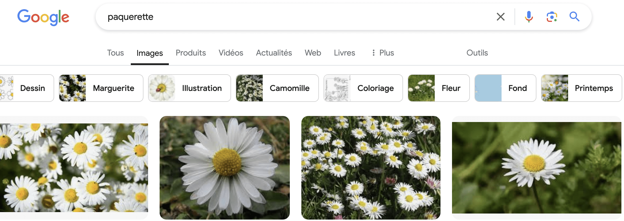 Une capture d'écran d'une recherche google pour trouver une image libre de droit 