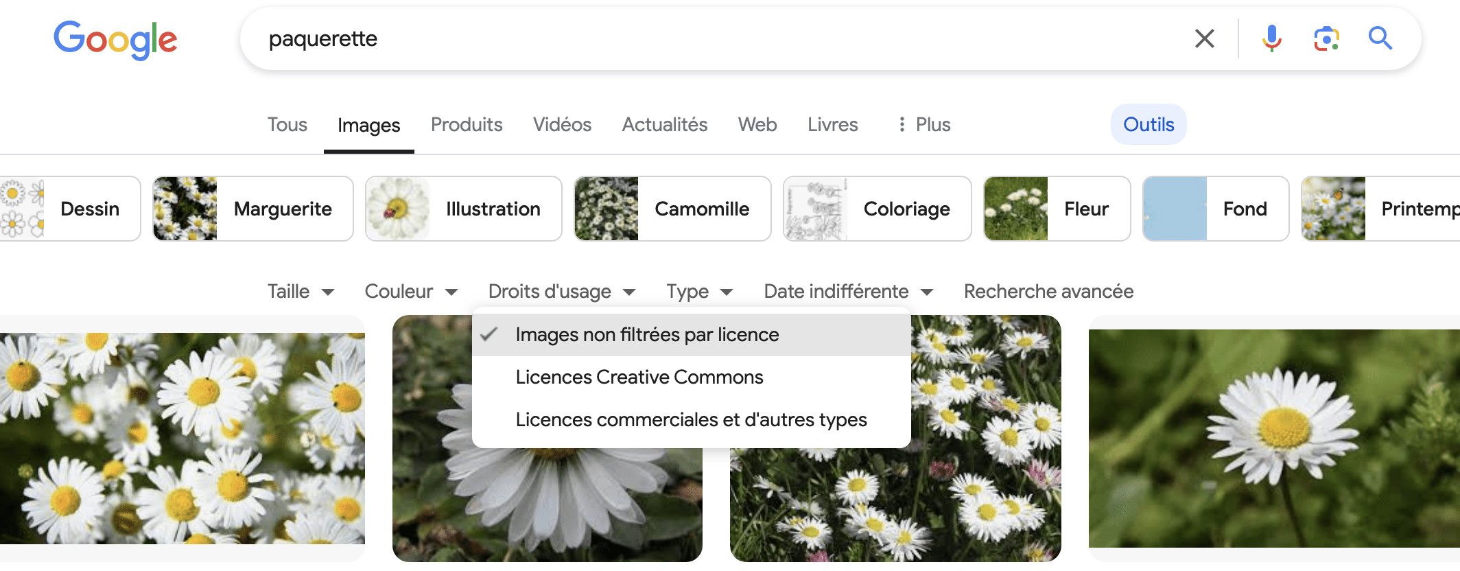 Une capture d'écran d'une recherche google avec le filtre des droits d'usage activé Photo 2 pour trouver une image libre de droit 