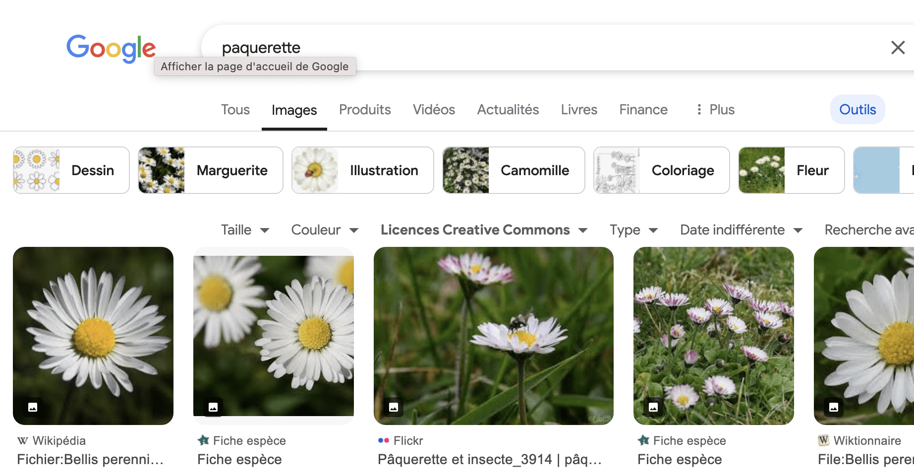 Une capture d'écran d'une recherche google avec le filtre outils sélectionné pour trouver une image libre de droit 